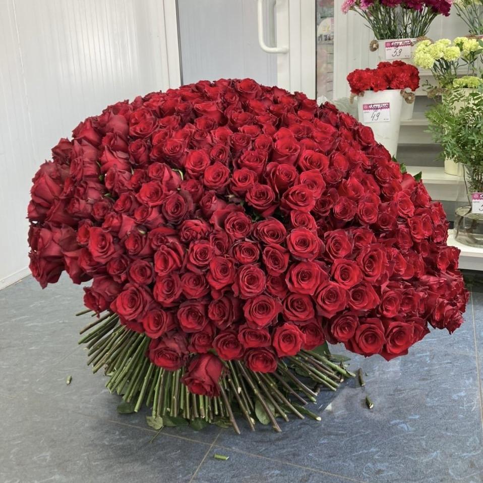 Букеты из красных роз 80 см (Эквадор) код   2424krd