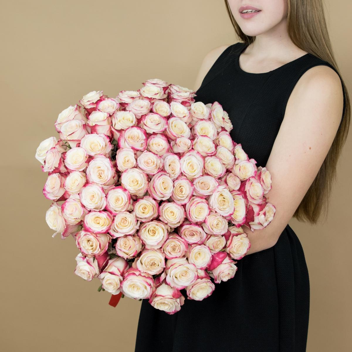 Розы красно-белые 101 шт. (40 см) №  1068k