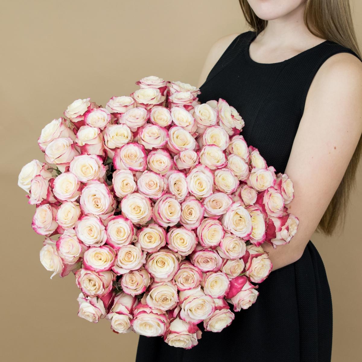 Розы красно-белые 101 шт. (40 см) №  1068k