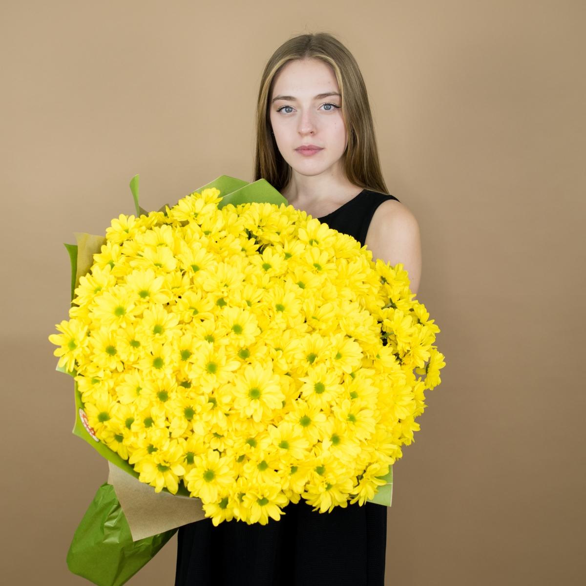 Хризантема кустовая желтая (артикул  1106krasn)