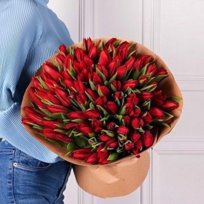 Красные тюльпаны 101 шт артикул: 1738dar