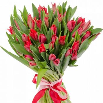 Красные тюльпаны 25 шт Артикул: 1740